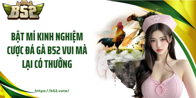 Bật mí kinh nghiệm cược đá gà B52 vui mà lại có thưởng