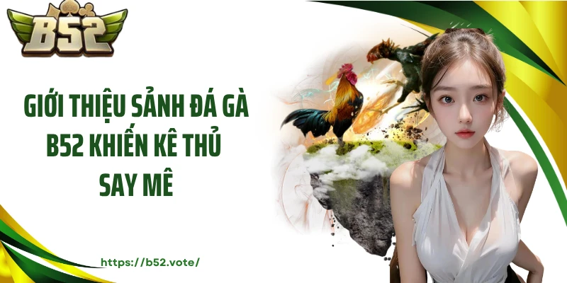 Giới thiệu sảnh đá gà B52 khiến kê thủ say mê