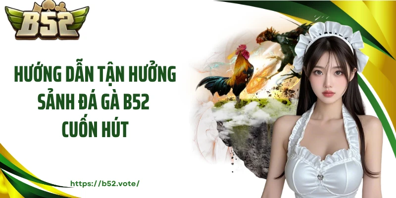 Hướng dẫn tận hưởng sảnh đá gà B52 cuốn hút